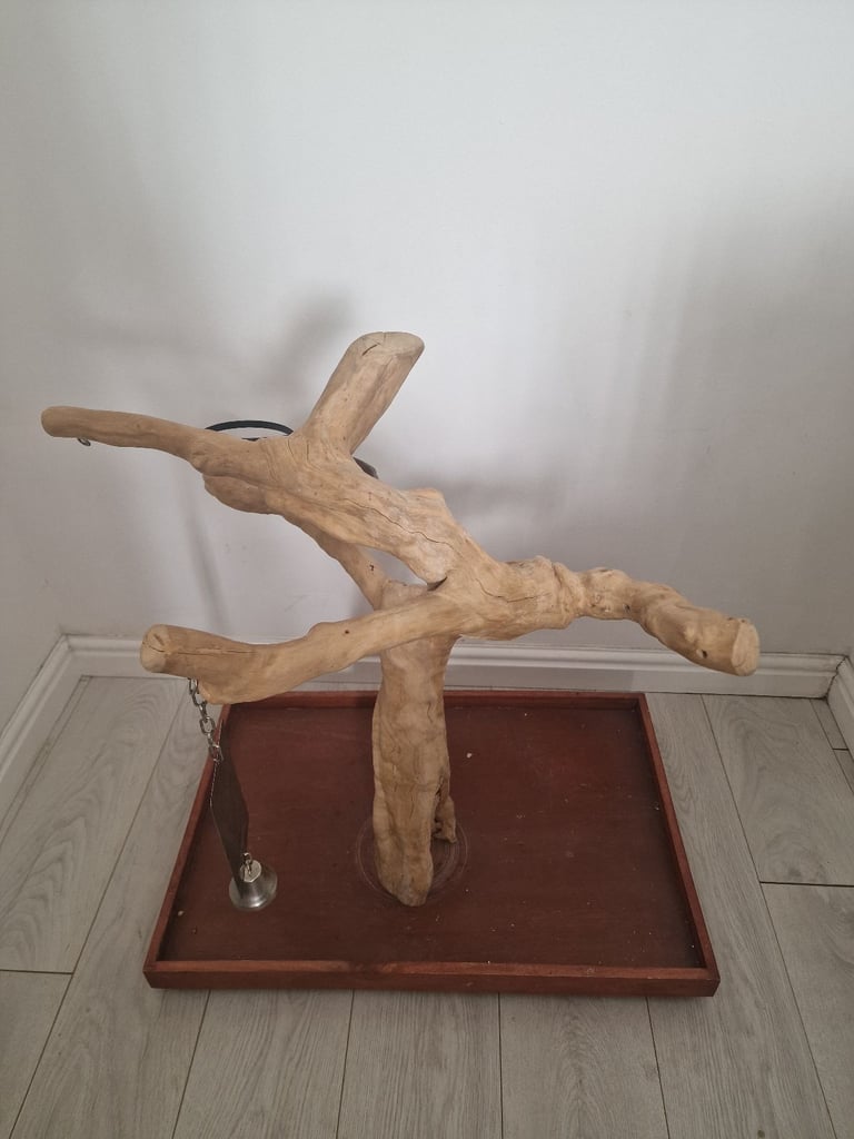 Parrot Java Tree perch