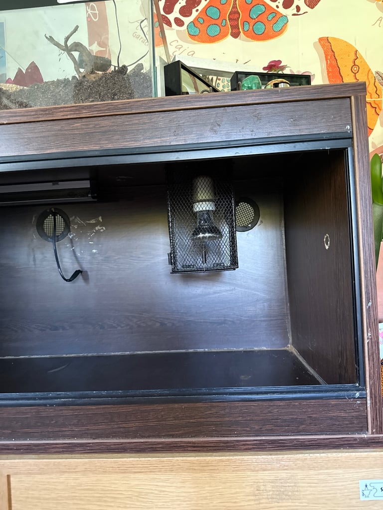 4ft walnut vivarium with heating and lighting 