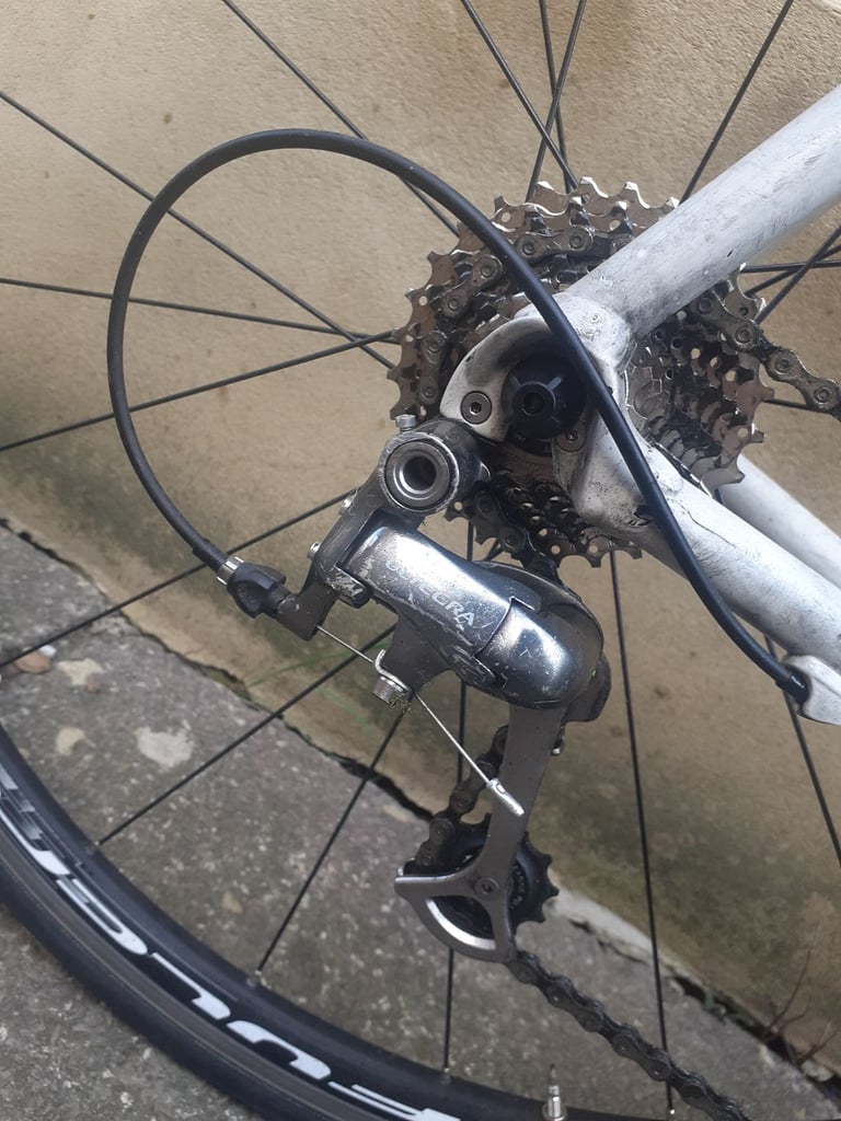 Focus Variado (63cm) road bike [ ULTEGRA ] RRP £1699