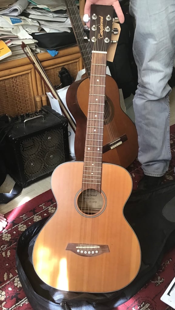 image for Tanglewood acoustic guitar TBF-sapling 