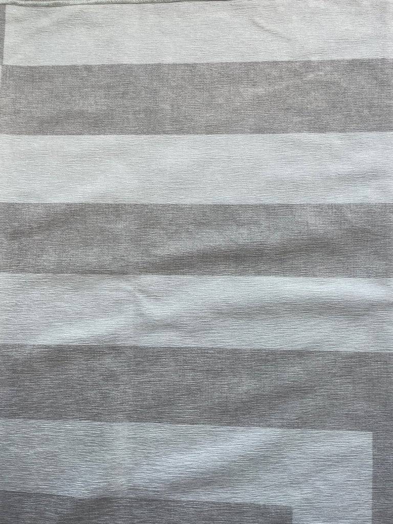 Brand New Ruggable rug