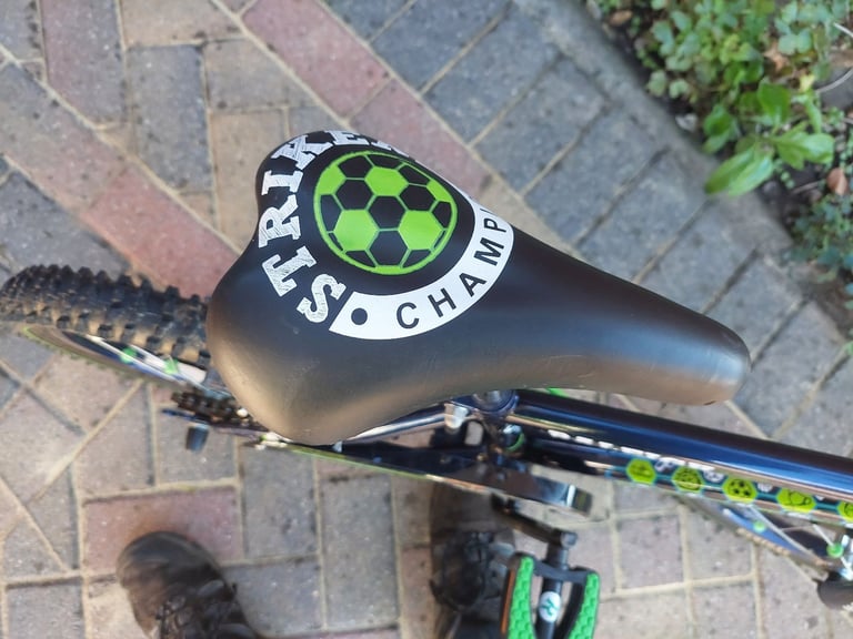 Raleigh Striker 16" Bicycle