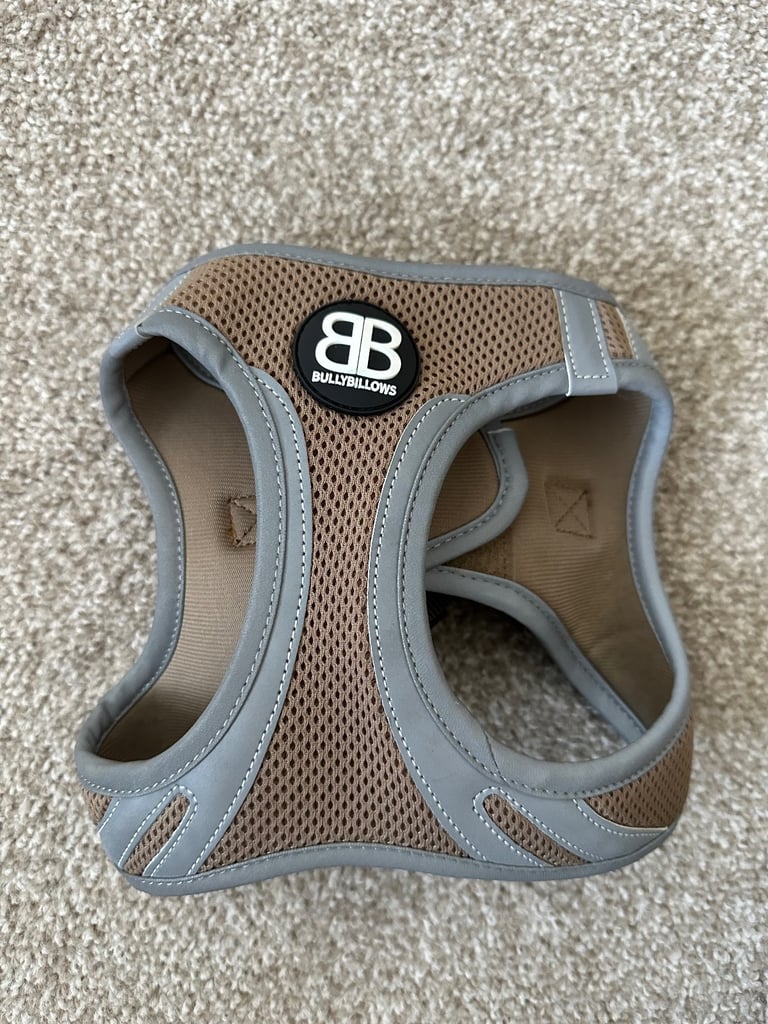 Bully Billows Dog Harness 