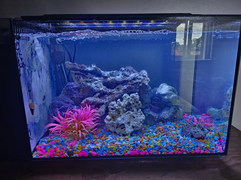 Fish tank 
