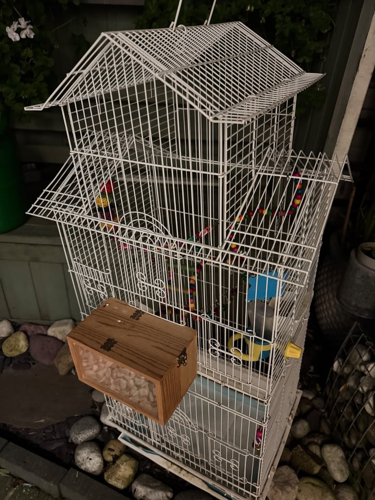 image for Birdcage