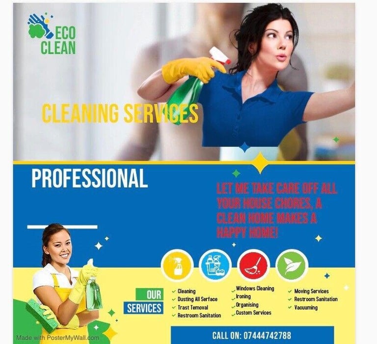 Domestic cleaning/ organising 