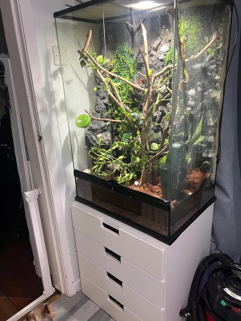 Exo Terra Glass Reptile Terrarium