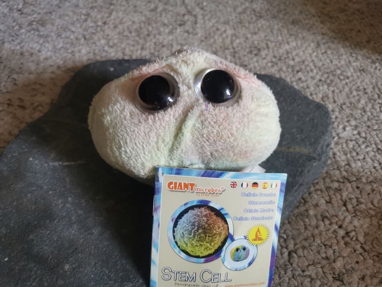 ​🦠 GIANT Microbes Plush Toy Collection - Science, Gags & Collectibles! (Bundle Price!)