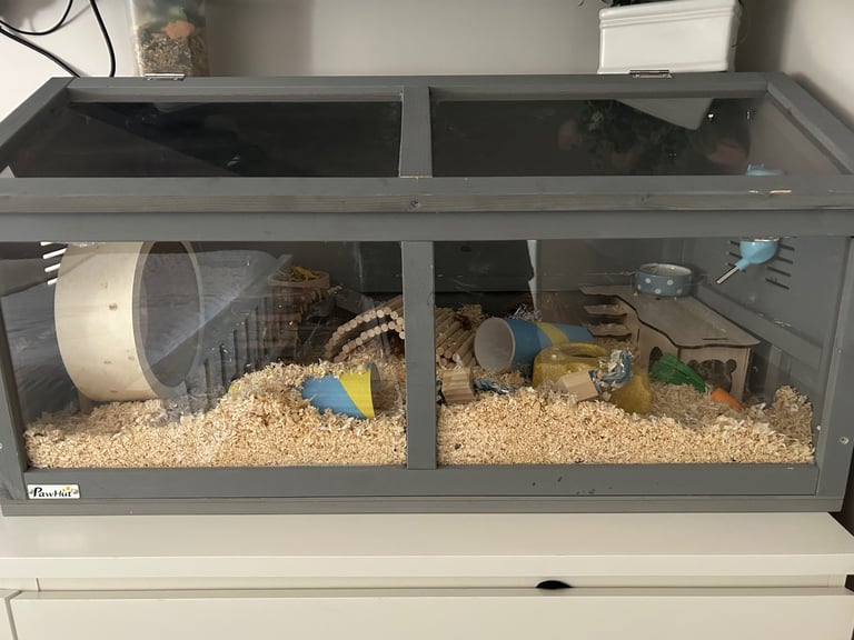 Full setup including Syrian gray hamster 