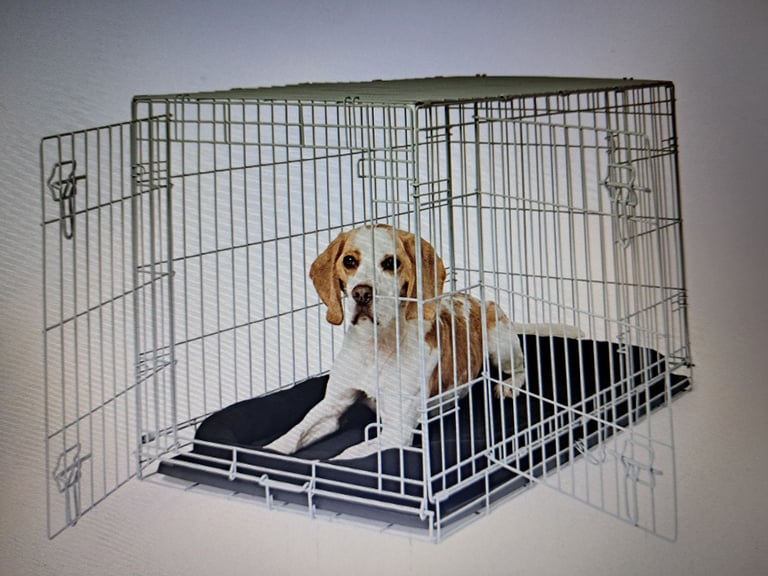 Medium dog crate