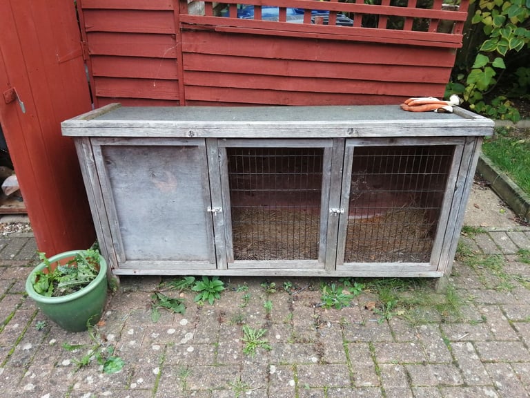 Guinea pig hutch 