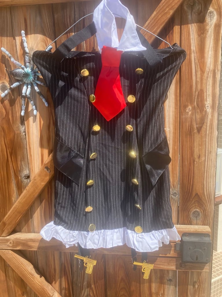 image for Adult Full Fancy-Dress outfits 