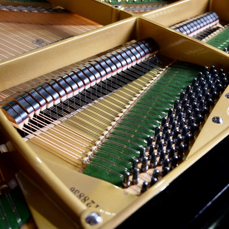 Restored Bechstein Model L Baby Grand Piano Black | Delivery, Warranty, Stool, Tuning