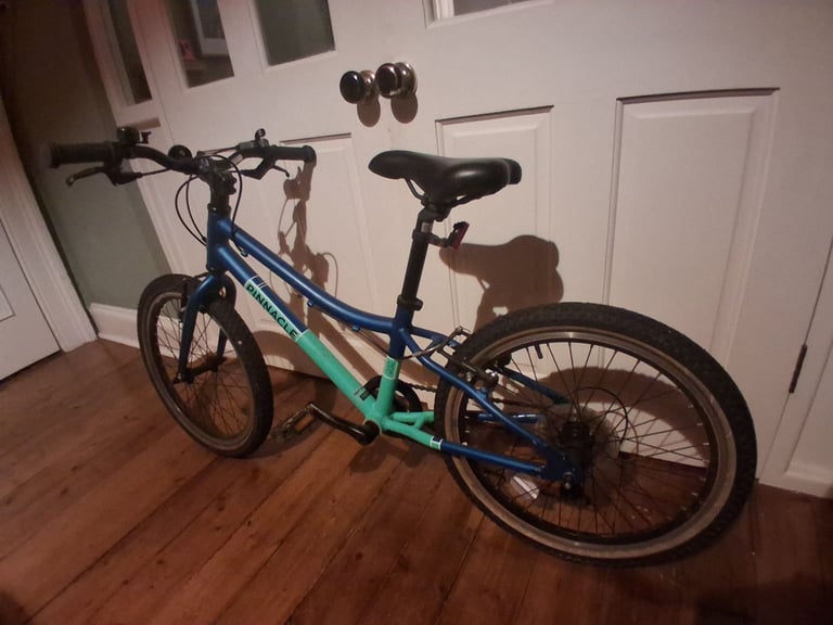 Kids Bike 20inch Pinnacle Ash