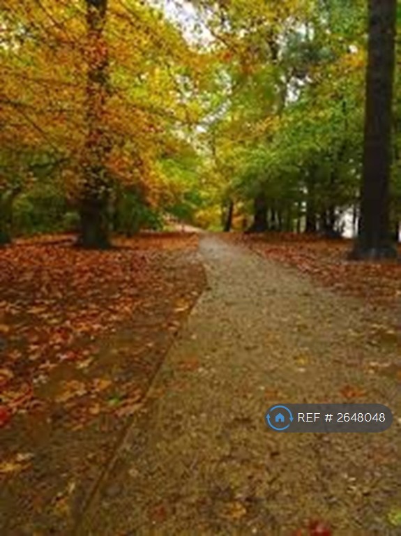 4 bedroom house in Oakfield Road, Alderley Edge, SK9 (4 bed) (#2648048)