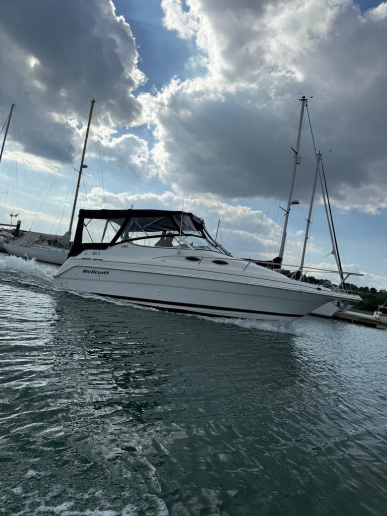 image for Wellcraft Martinique cruise boat
