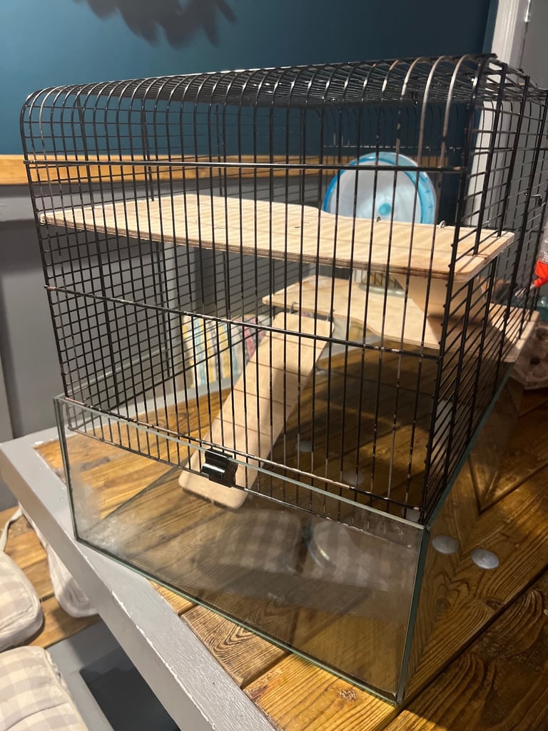 hamster cage (two available) 