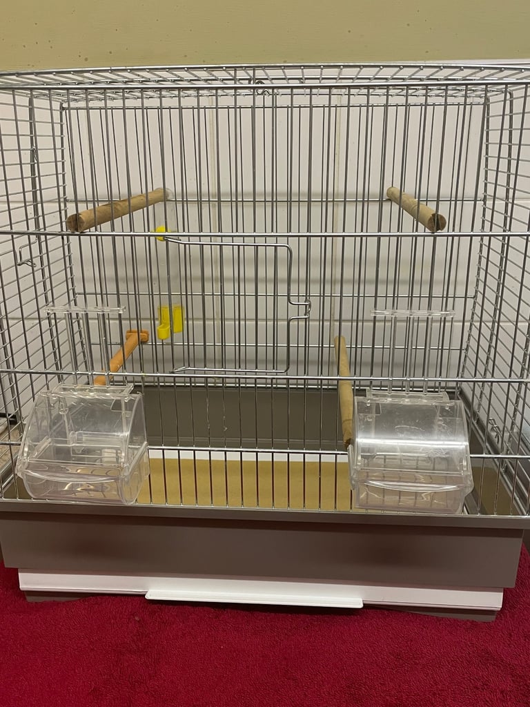 Bird cage 