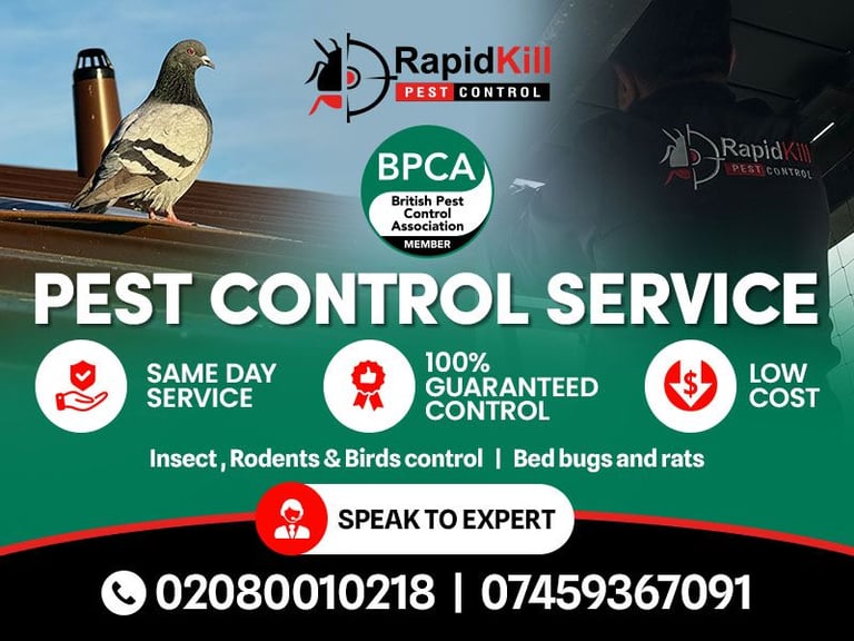 BPCA Pest control Mice Rat bedbugs cockroaches wasps mouse pest removal service 100%
