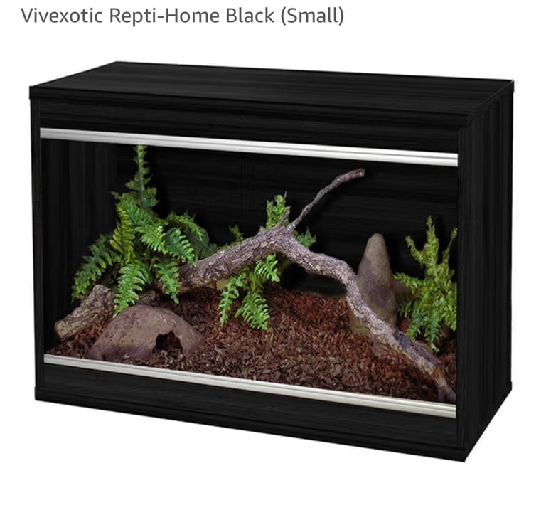 Small reptile vivarium 