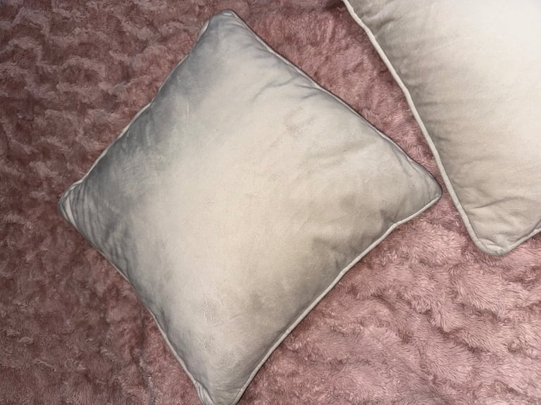 image for 2 light beige/ grey velvet cushion