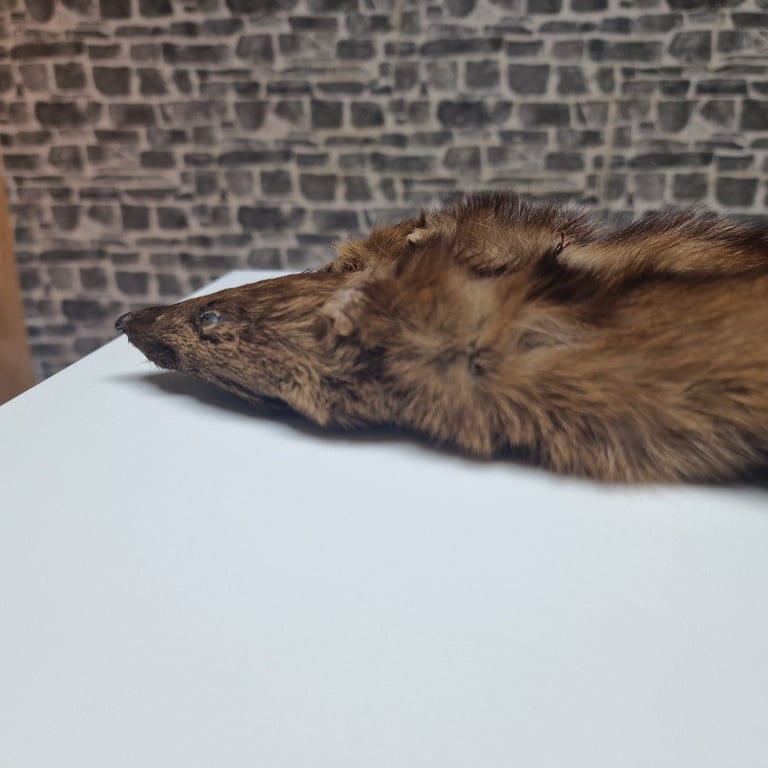 Vintage Real Mink Fur Stoles (Pair) – 75cm