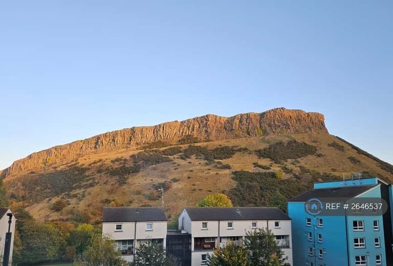 2 bedroom flat in Viewcraig Gardens, Edinburgh, EH8 (2 bed) (#2646537)