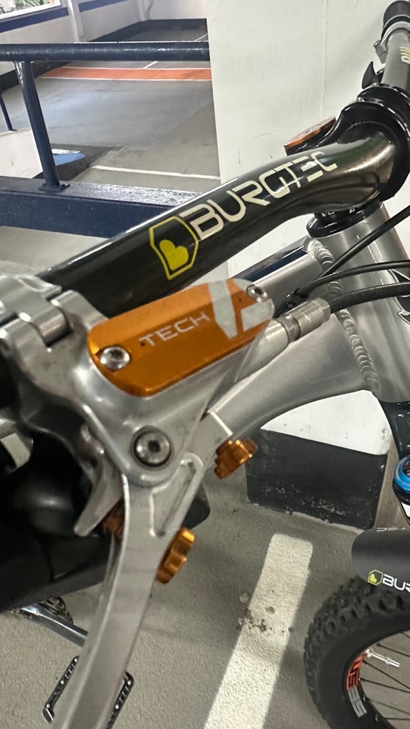 Banshee paradox v3 custom build (large) open to reasonable offers 