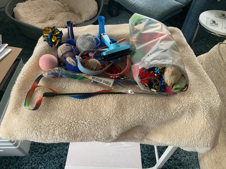 NEW Cat or Kitten Ultra Filter Water Fountain + Radiator Bed + Brushes + Collars + Huge Toy Bundles