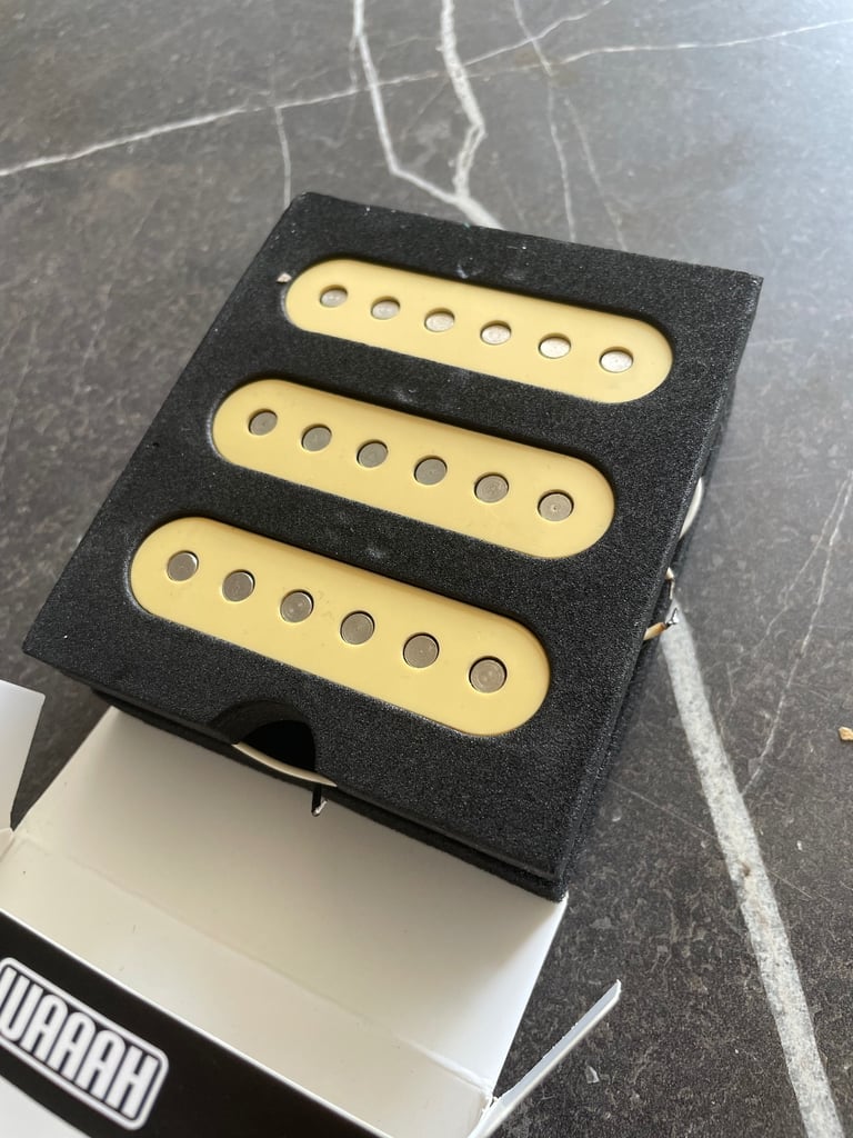 Japan squire silver series pups