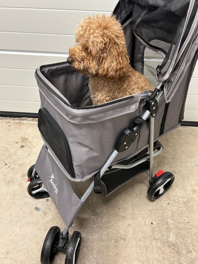Pet Stroller,  Pet Buggy