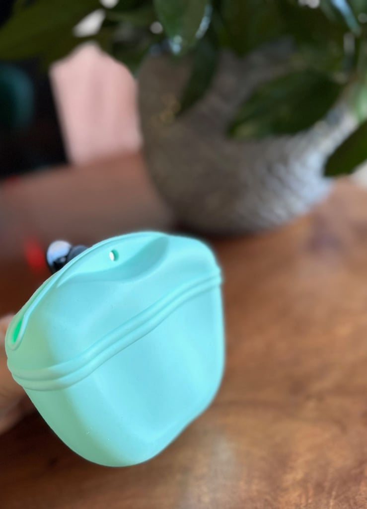 Green Silicone Dogs Treat Pouch