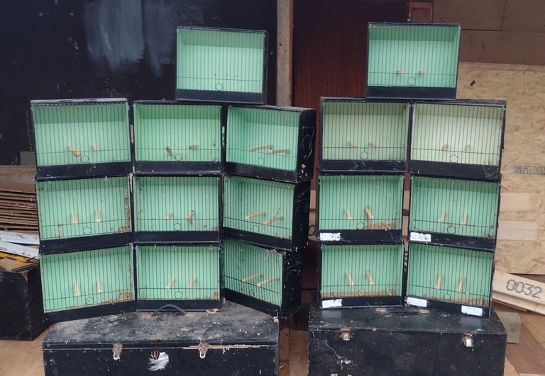 image for Gloster Canary show cages and carrying cases 