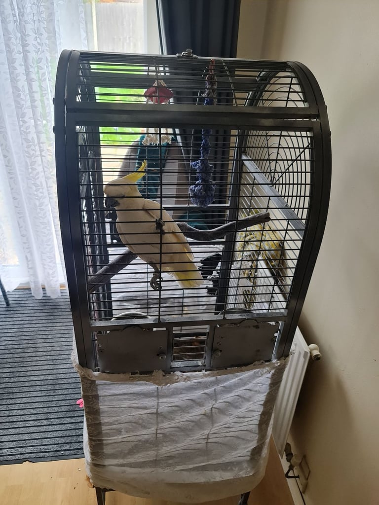 image for Parrot cage