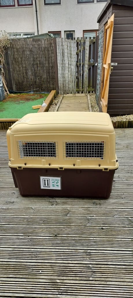 Airline approved dog  crate 