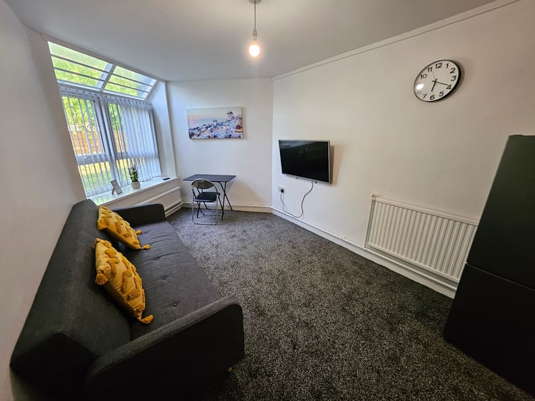 Furnished 1 BR Apt. in Liverpool