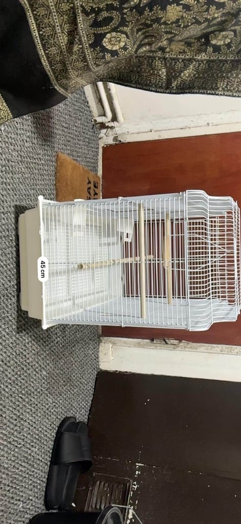 image for Brids cage