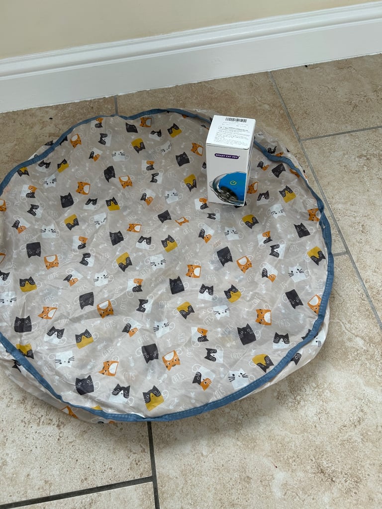 Interactive Cat Toy And A Crinkly Mat!