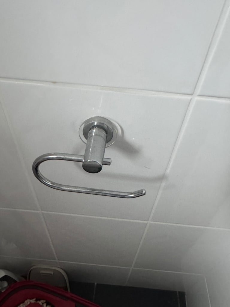 Free Toilet Paper Holder & Towel Rail