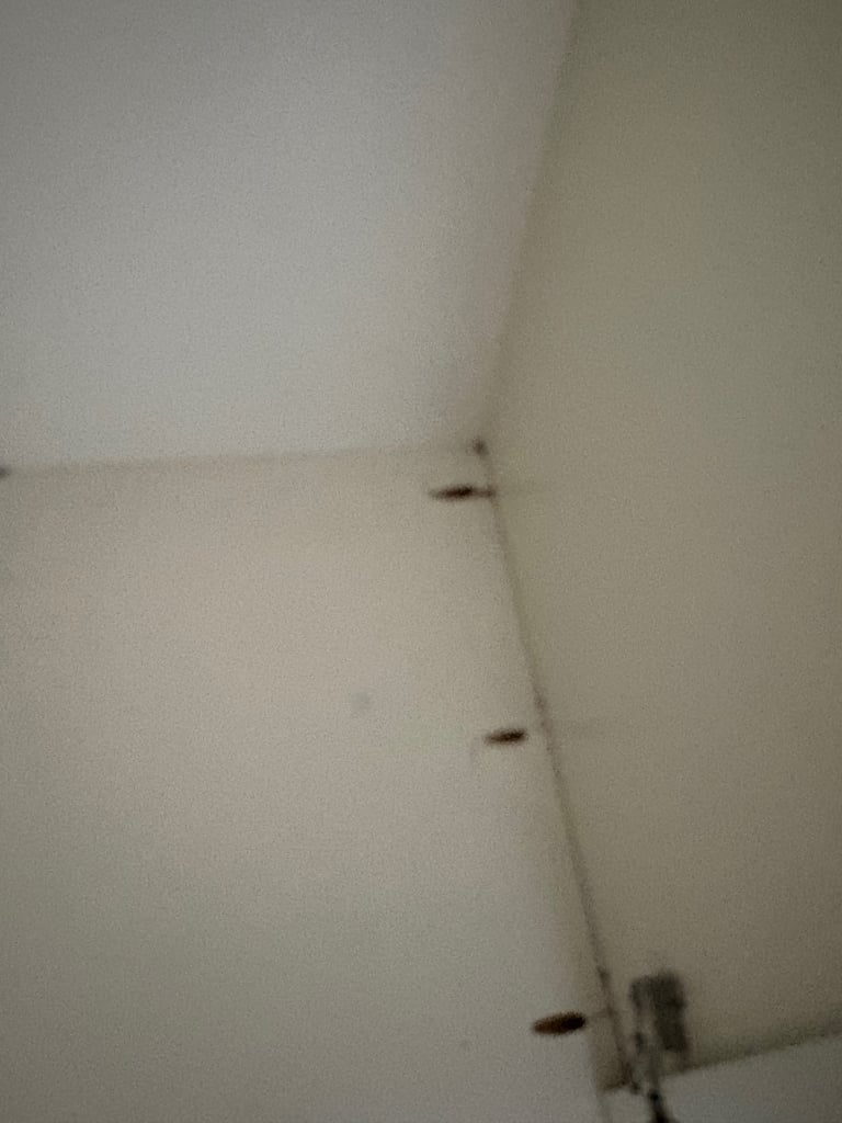 Free Marks And Spencer’s Wardrobe