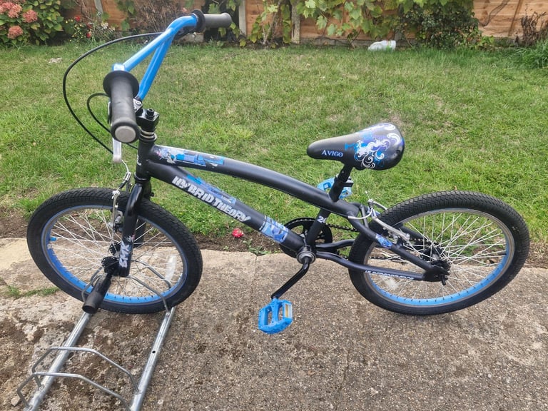 KIDS BOYS CHILDREN HYBRID THEORY 20 INCH WHEELS BMX BIKE BICYCLE
