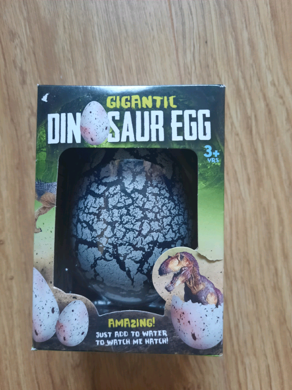 Brand new gigantic dinasaur egg