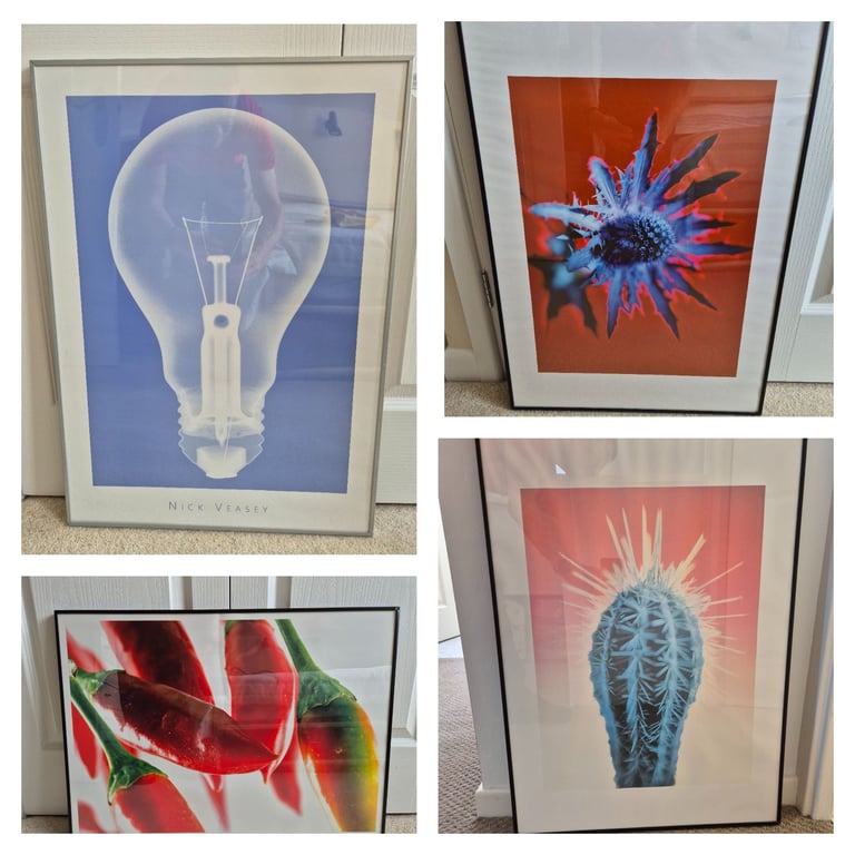 image for Lovely pictures in frame, size of frame is approx. 71cm x 51cm, £12 each or £40 for all