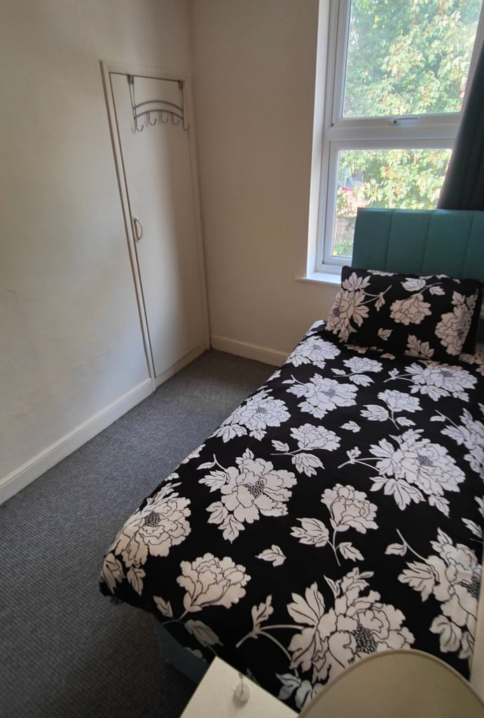 Room in Ipswich to rent