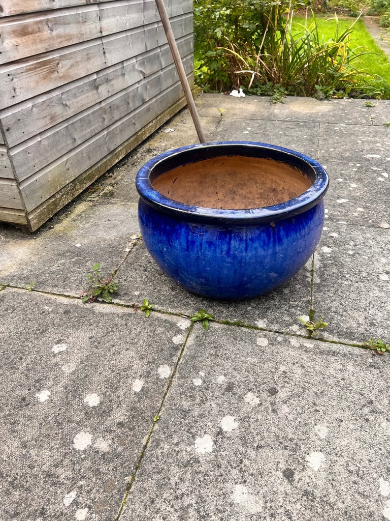 plant pot large