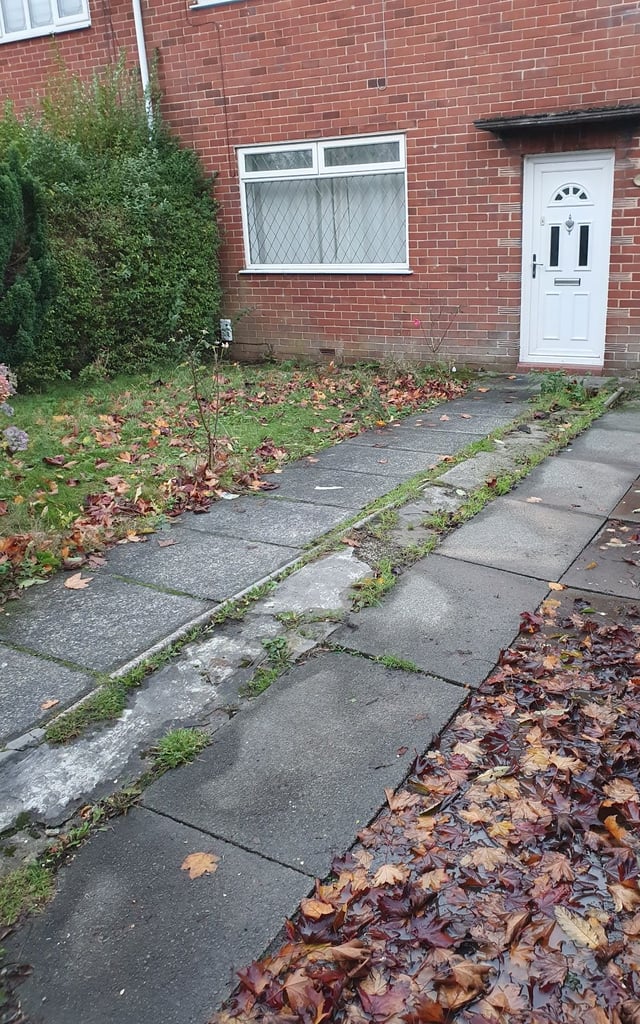 3 Bed Semi Detached House For Rent