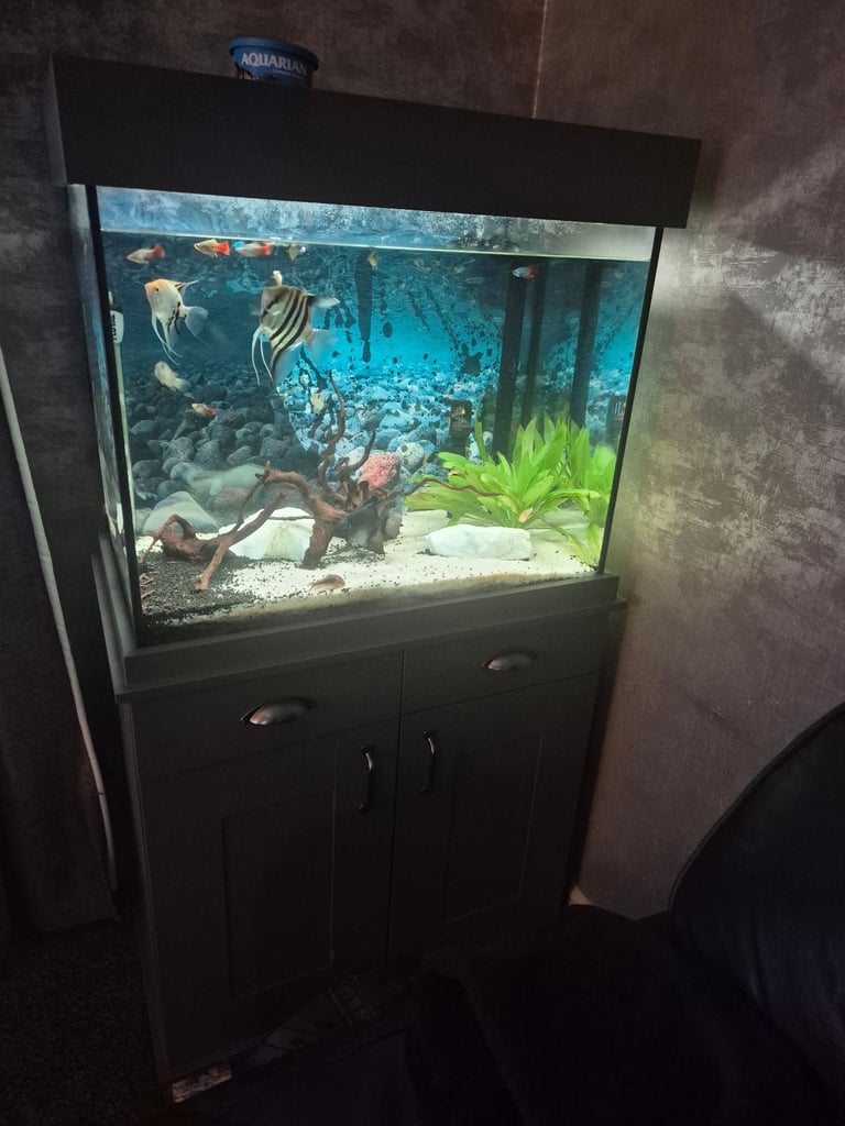 image for Aquarium for sale in good condition 