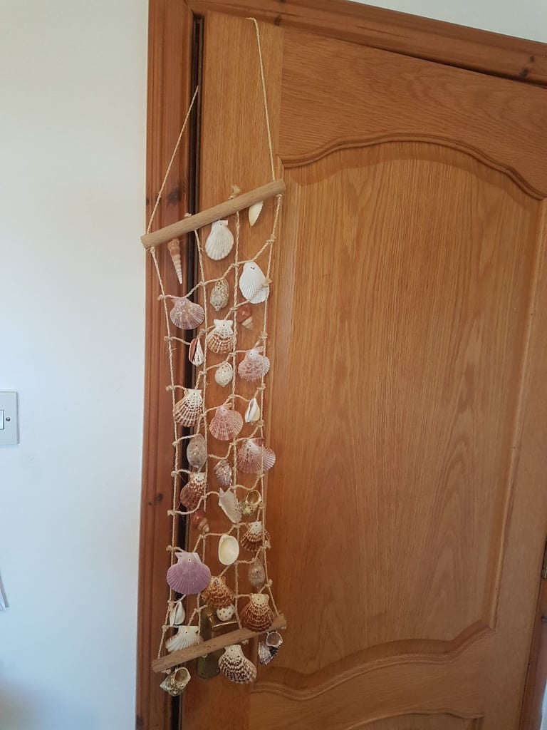 Shells on a net