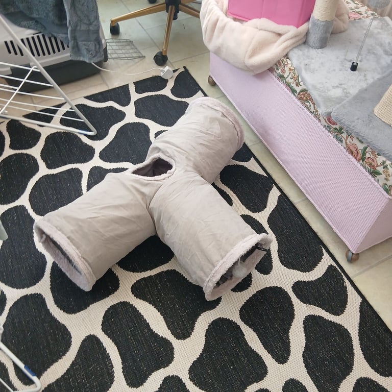 Bundle of cat / kitten items - some new.