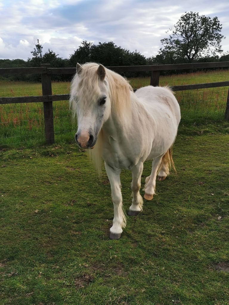 Grazing Land Acres Field Wanted 